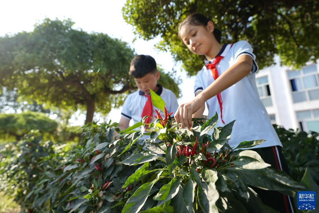 龙八国际